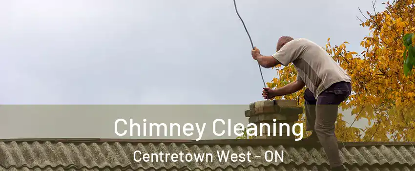  Chimney Cleaning Centretown West - ON