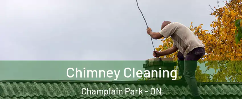  Chimney Cleaning Champlain Park - ON