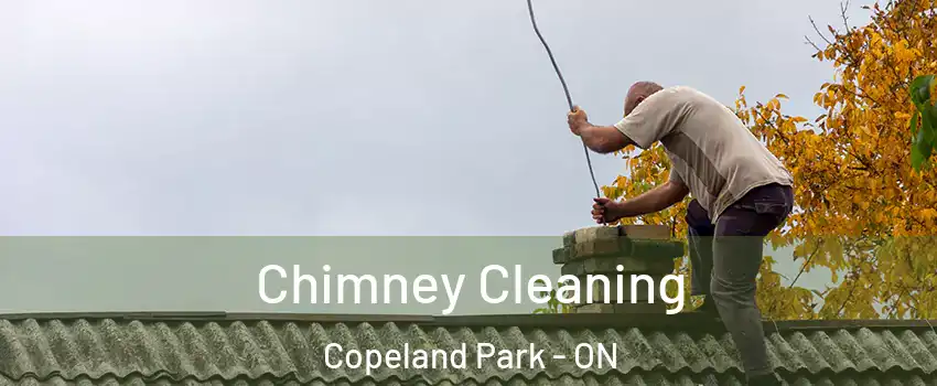  Chimney Cleaning Copeland Park - ON