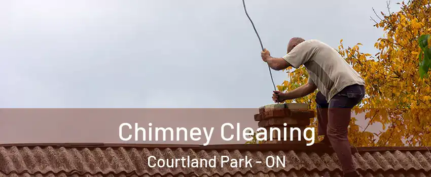  Chimney Cleaning Courtland Park - ON