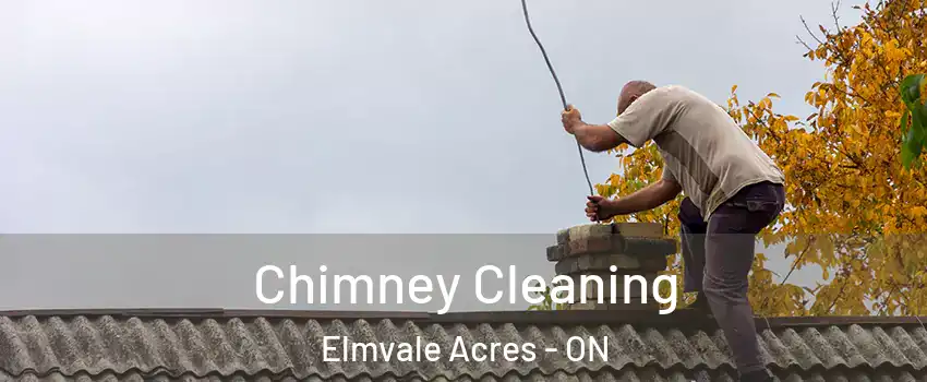  Chimney Cleaning Elmvale Acres - ON