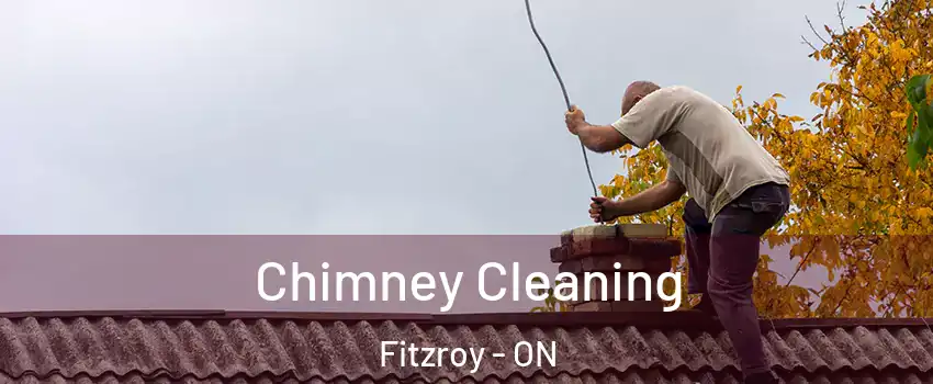  Chimney Cleaning Fitzroy - ON