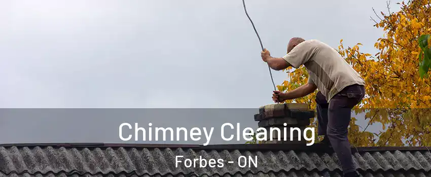  Chimney Cleaning Forbes - ON