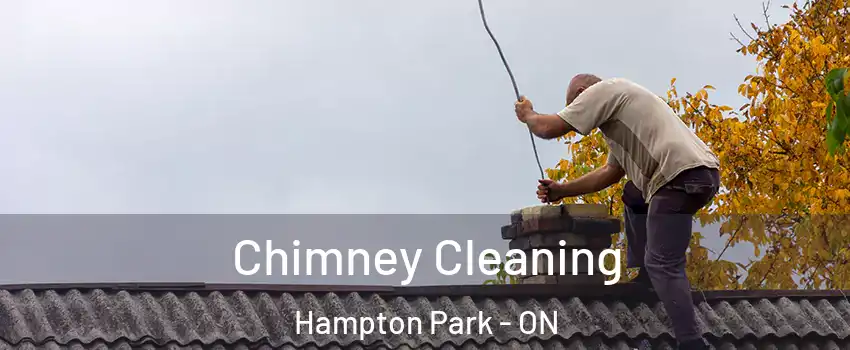  Chimney Cleaning Hampton Park - ON