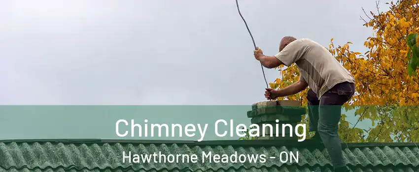  Chimney Cleaning Hawthorne Meadows - ON