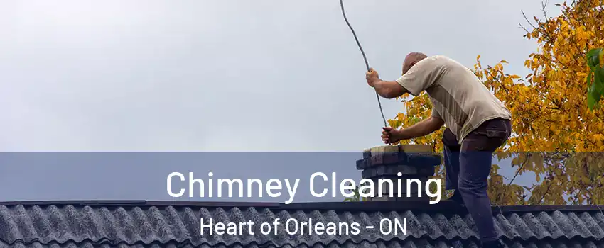  Chimney Cleaning Heart of Orleans - ON