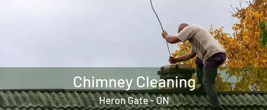  Chimney Cleaning Heron Gate - ON