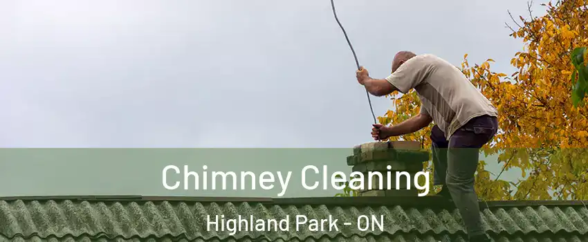  Chimney Cleaning Highland Park - ON