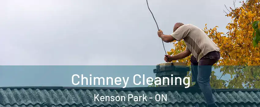  Chimney Cleaning Kenson Park - ON