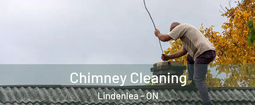  Chimney Cleaning Lindenlea - ON