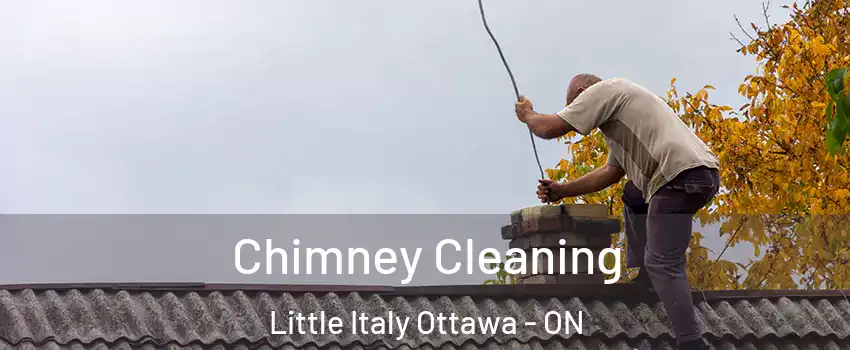  Chimney Cleaning Little Italy Ottawa - ON