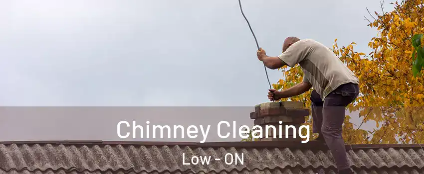  Chimney Cleaning Low - ON