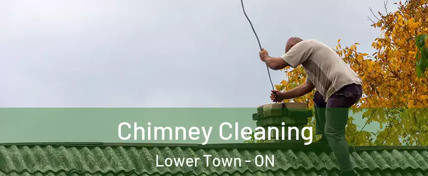  Chimney Cleaning Lower Town - ON