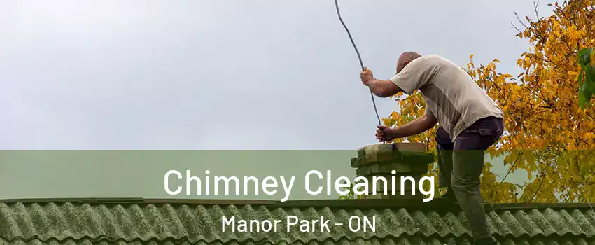  Chimney Cleaning Manor Park - ON