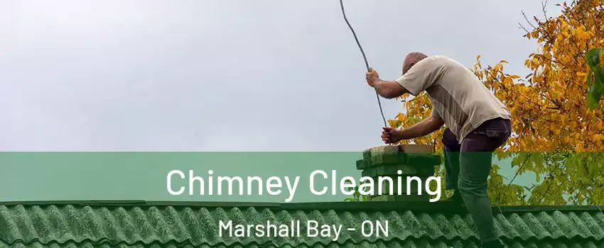  Chimney Cleaning Marshall Bay - ON