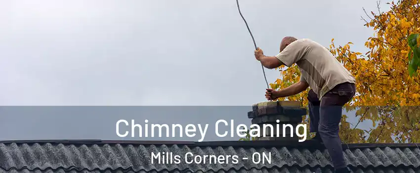  Chimney Cleaning Mills Corners - ON