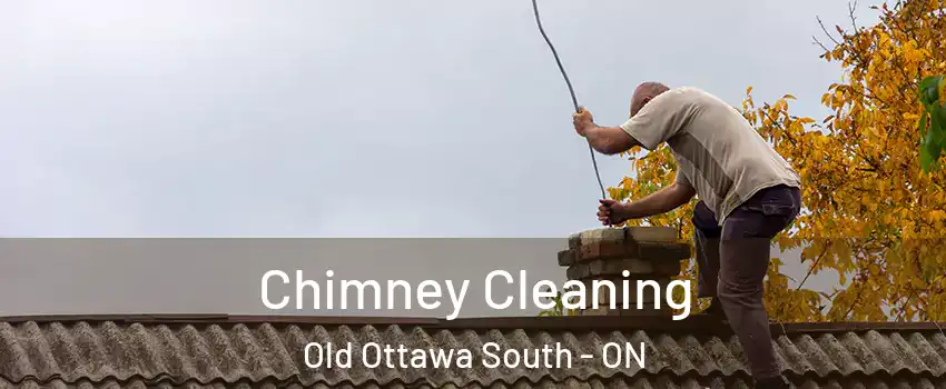  Chimney Cleaning Old Ottawa South - ON