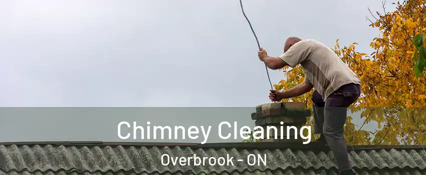  Chimney Cleaning Overbrook - ON