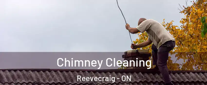  Chimney Cleaning Reevecraig - ON