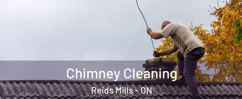  Chimney Cleaning Reids Mills - ON