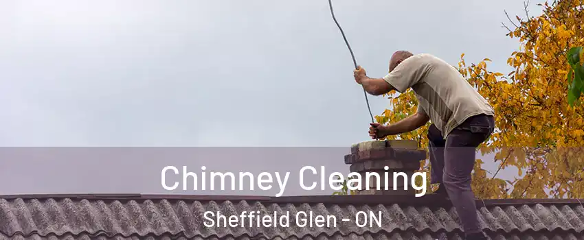  Chimney Cleaning Sheffield Glen - ON