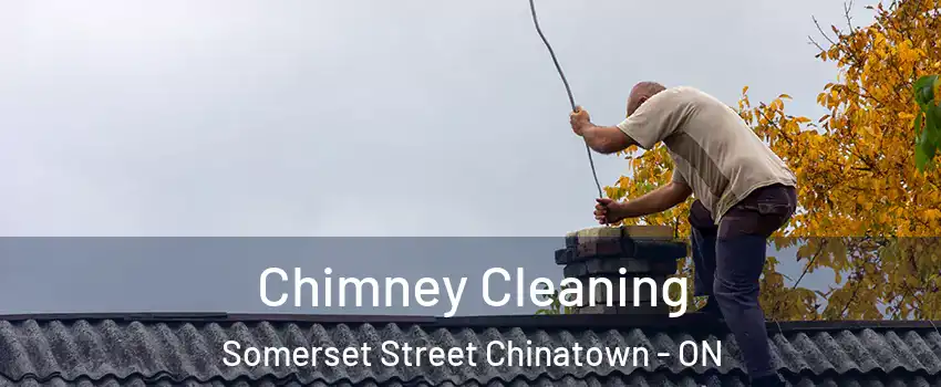  Chimney Cleaning Somerset Street Chinatown - ON