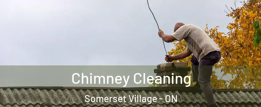  Chimney Cleaning Somerset Village - ON