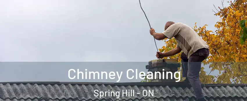  Chimney Cleaning Spring Hill - ON