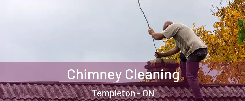  Chimney Cleaning Templeton - ON