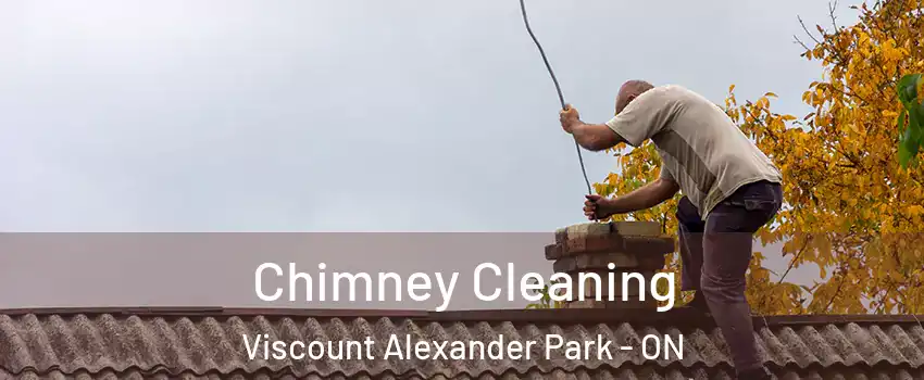  Chimney Cleaning Viscount Alexander Park - ON