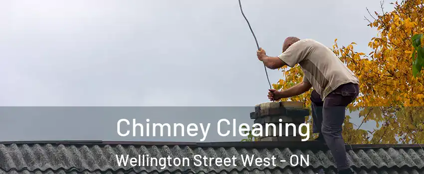  Chimney Cleaning Wellington Street West - ON