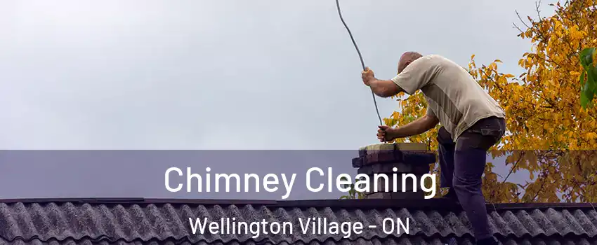  Chimney Cleaning Wellington Village - ON