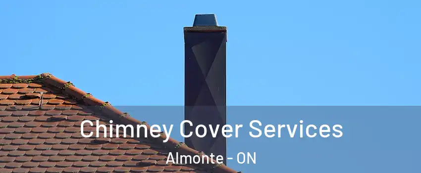  Chimney Cover Services Almonte - ON