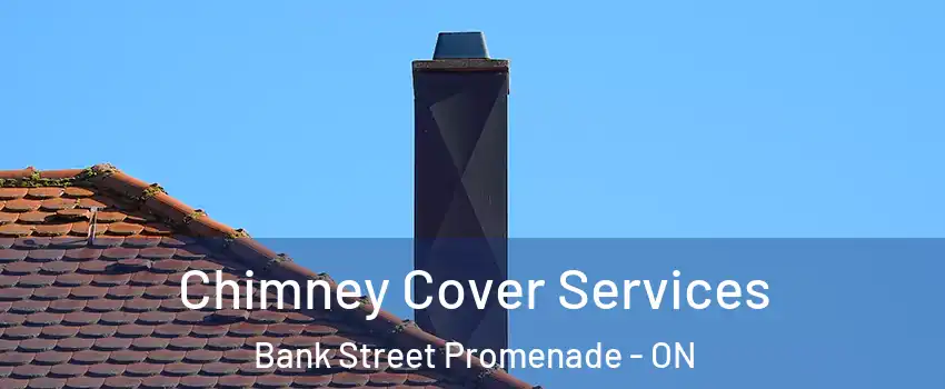  Chimney Cover Services Bank Street Promenade - ON