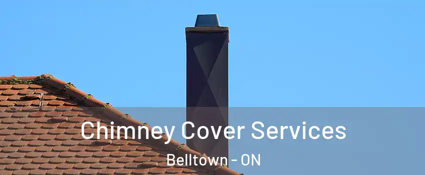  Chimney Cover Services Belltown - ON