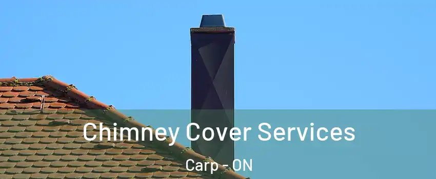  Chimney Cover Services Carp - ON