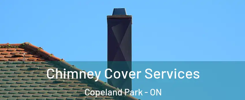  Chimney Cover Services Copeland Park - ON