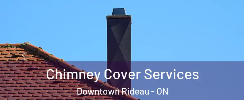  Chimney Cover Services Downtown Rideau - ON