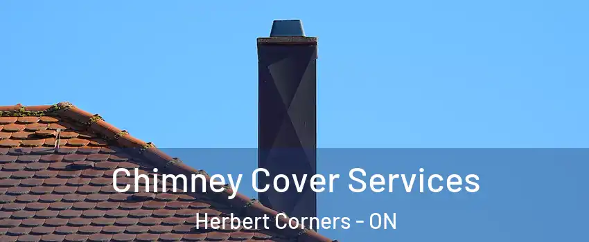  Chimney Cover Services Herbert Corners - ON