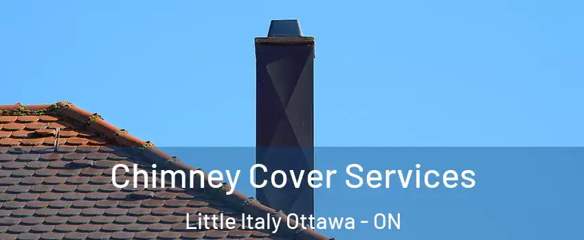  Chimney Cover Services Little Italy Ottawa - ON