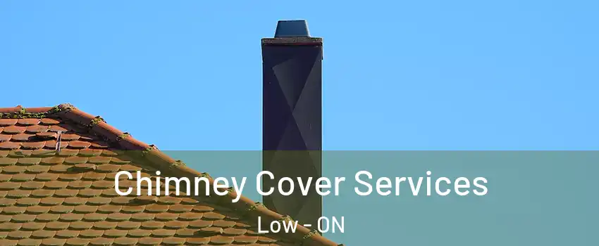  Chimney Cover Services Low - ON