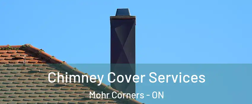  Chimney Cover Services Mohr Corners - ON