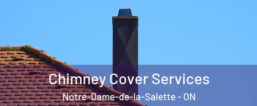  Chimney Cover Services Notre-Dame-de-la-Salette - ON