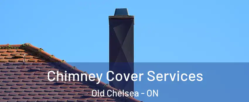  Chimney Cover Services Old Chelsea - ON