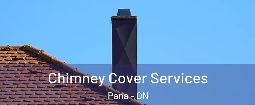  Chimney Cover Services Pana - ON