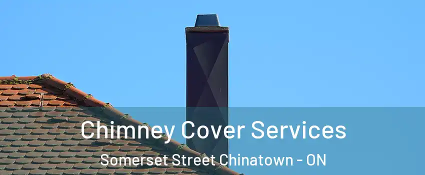  Chimney Cover Services Somerset Street Chinatown - ON