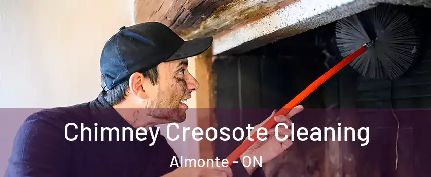  Chimney Creosote Cleaning Almonte - ON