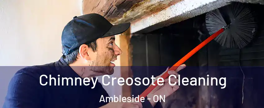  Chimney Creosote Cleaning Ambleside - ON