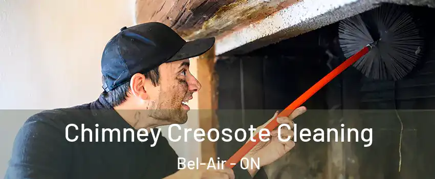  Chimney Creosote Cleaning Bel-Air - ON