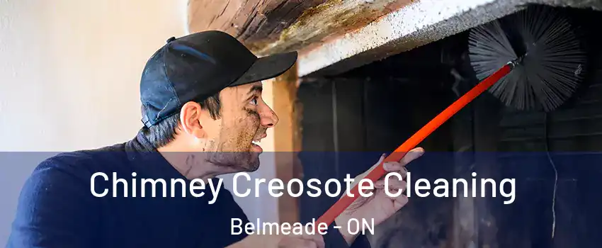  Chimney Creosote Cleaning Belmeade - ON